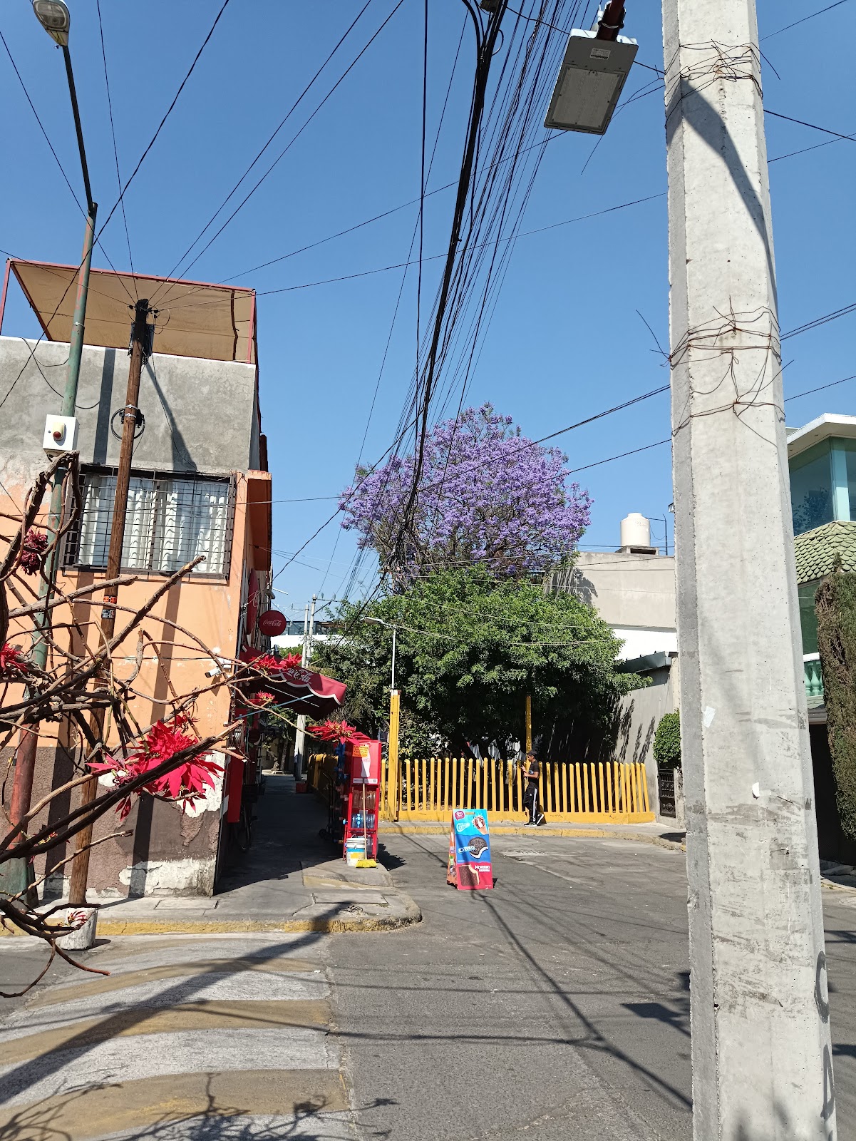 Áreas Verdes Real del Moral