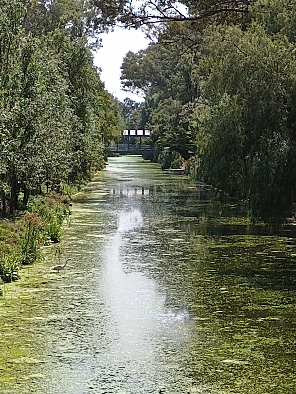 Bosque Urbano Canal Nacional