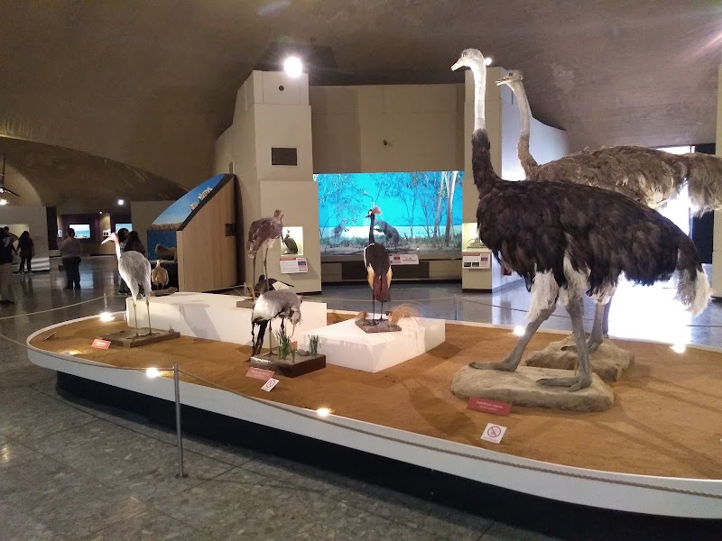 Museo de Historia Natural y Cultura Ambiental