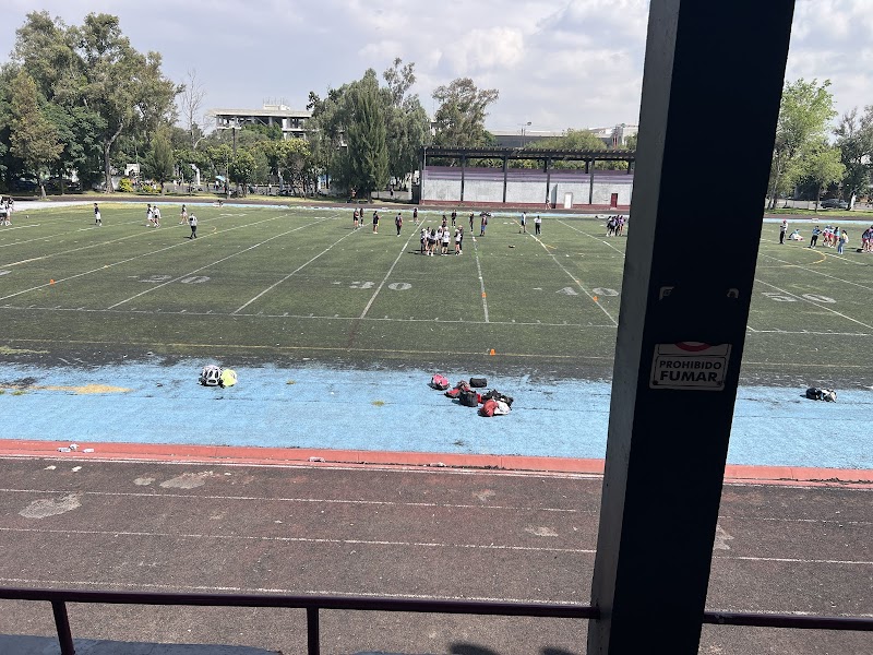 Deportivo Venustiano Carranza