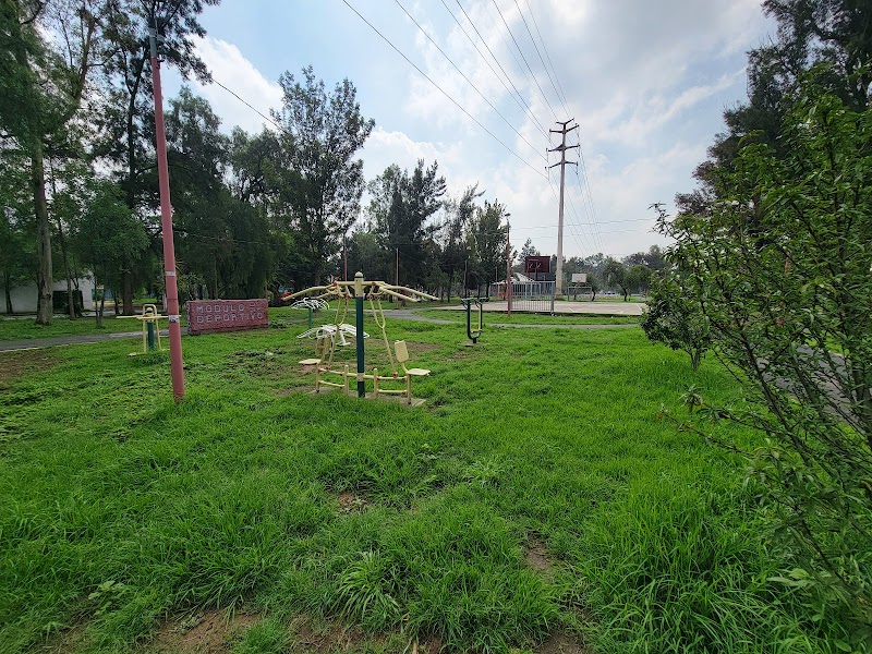 CLUB ECOLÓGICO DE LA 3RA EDAD