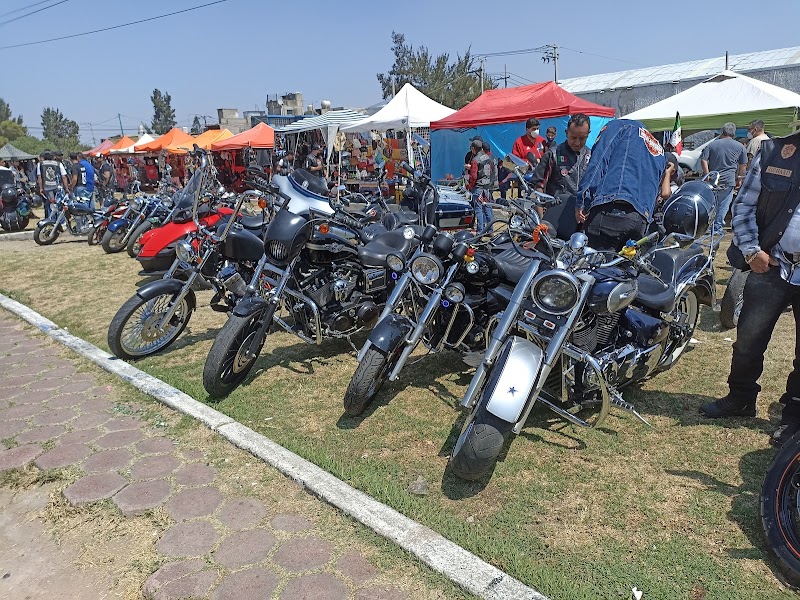 Parque - Cuicatl Anyolque